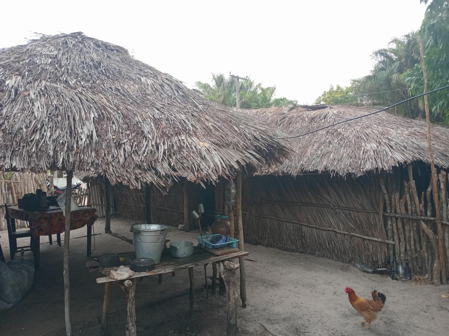 Entidades Organizadoras do Maranhão Cobram Agilidade e Transparência nos Processos de Aprovação de Propostas pela Caixa Econômica Federal