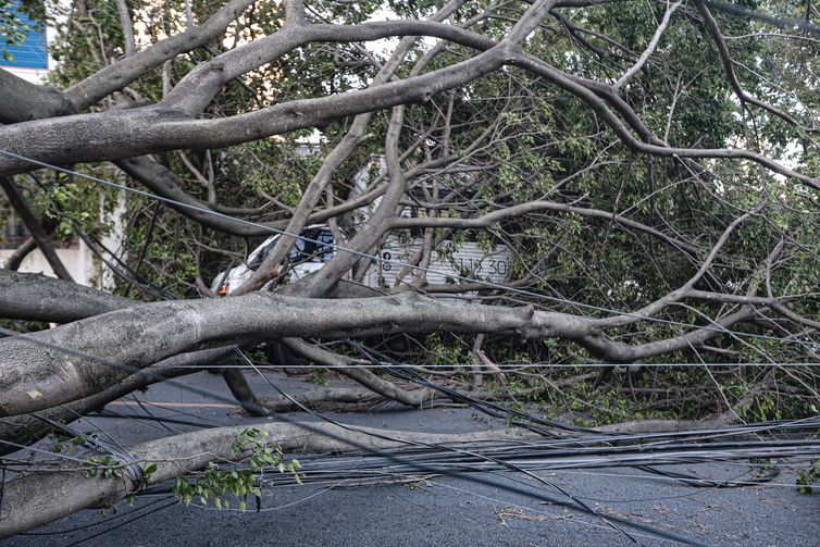 Volta a chover em São Paulo e número de pessoas sem luz aumenta